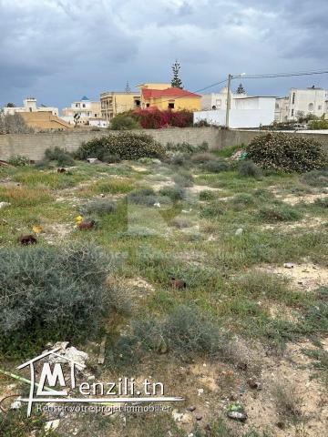 A VENDRE terrain situé à Chat Mariem