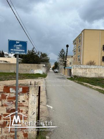 A VENDRE terrain situé à Chat Mariem