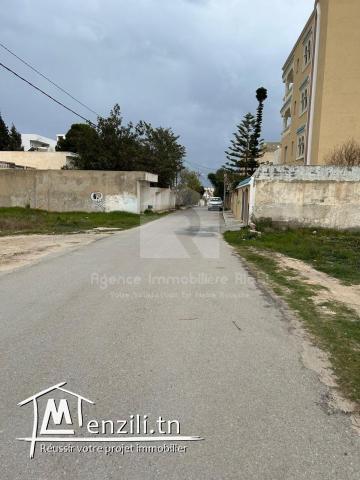 A VENDRE terrain situé à Chat Mariem