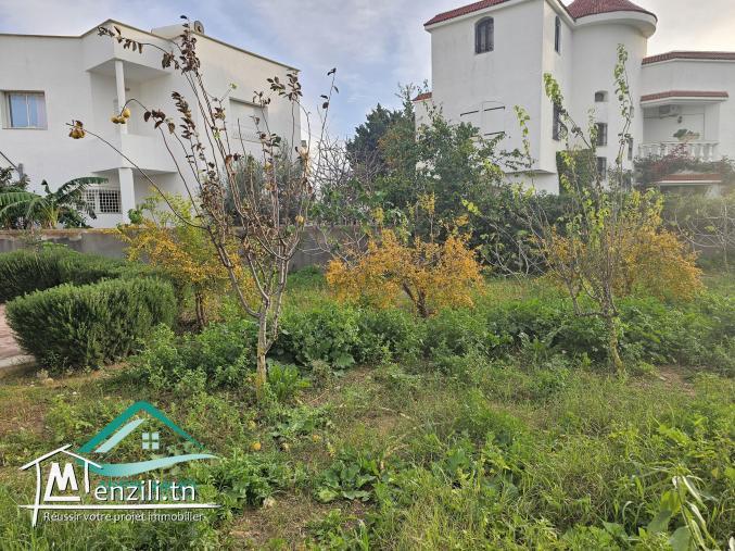 Terrain d’habitation 244 m² à petit paris Kelibia