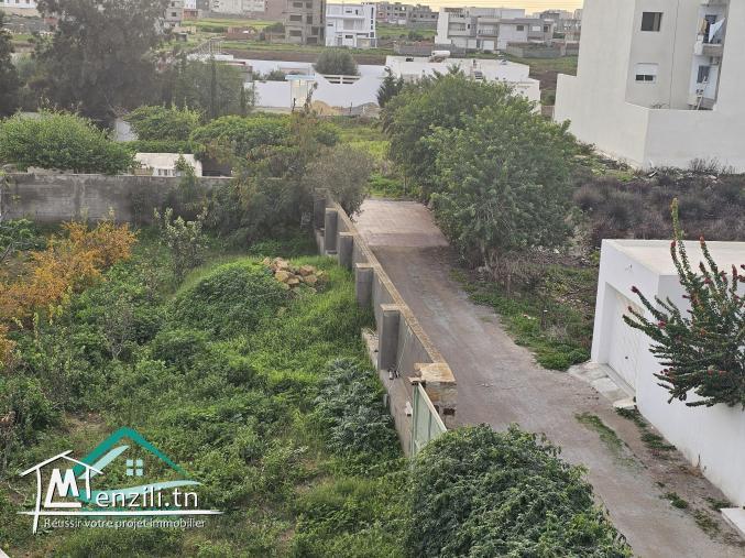 Terrain d’habitation 244 m² à petit paris Kelibia