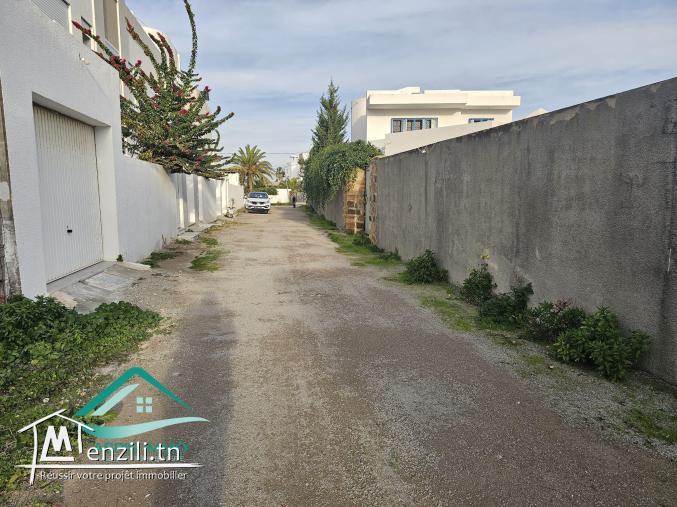 Terrain d’habitation 244 m² à petit paris Kelibia