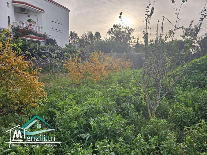 Terrain d’habitation 244 m² à petit paris Kelibia