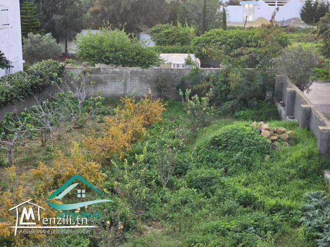 Terrain d’habitation 244 m² à petit paris Kelibia