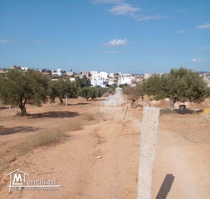 Terrain de 400 m² avec vue de mer à Hammamet Sud à vendre 51355351