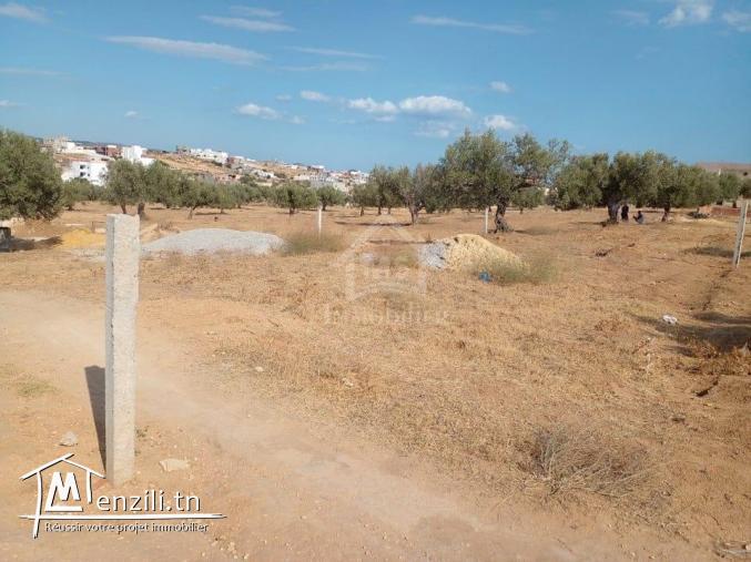 Terrain de 400 m² avec vue de mer à Hammamet Sud à vendre 51355351