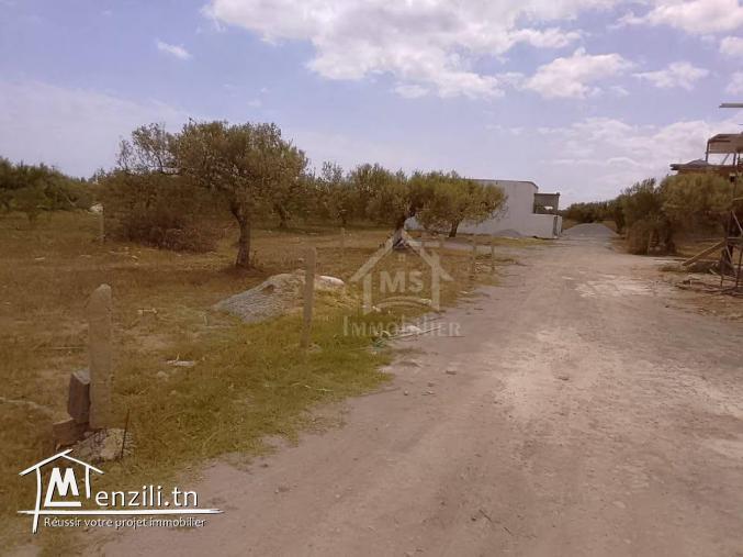 Terrain de 220 m² à KM71 à vendre 51355351