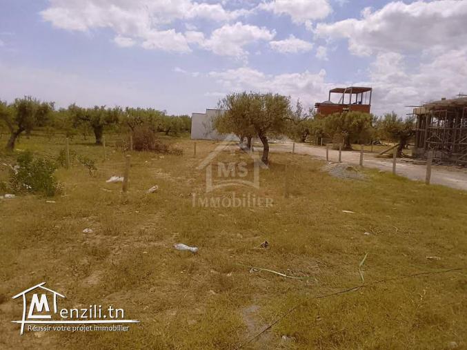 Terrain de 220 m² à KM71 à vendre 51355351