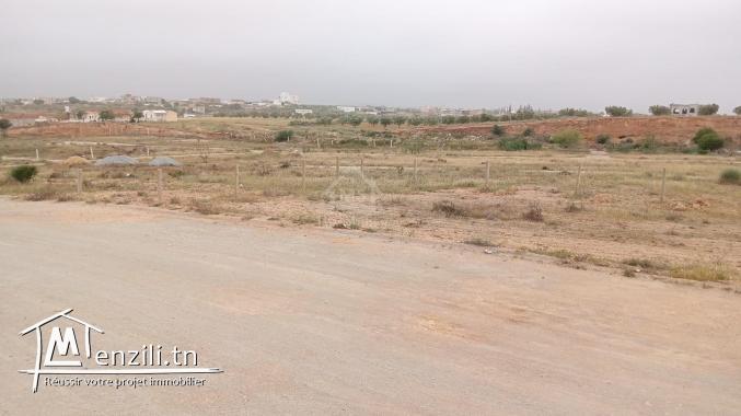 Un superbe lot de terrain de 382 m² à Hammamet Sud à vendre 51355351