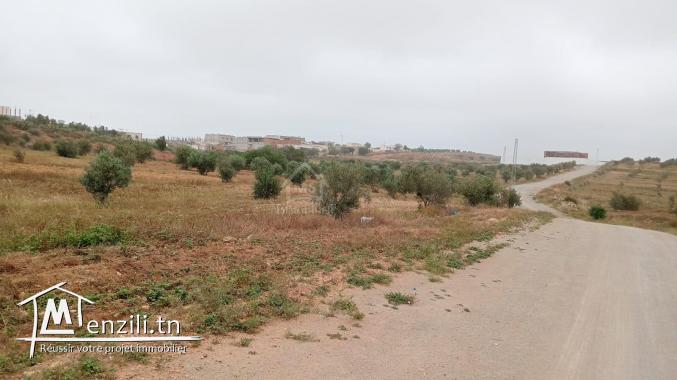 Un superbe lot de terrain de 382 m² à Hammamet Sud à vendre 51355351