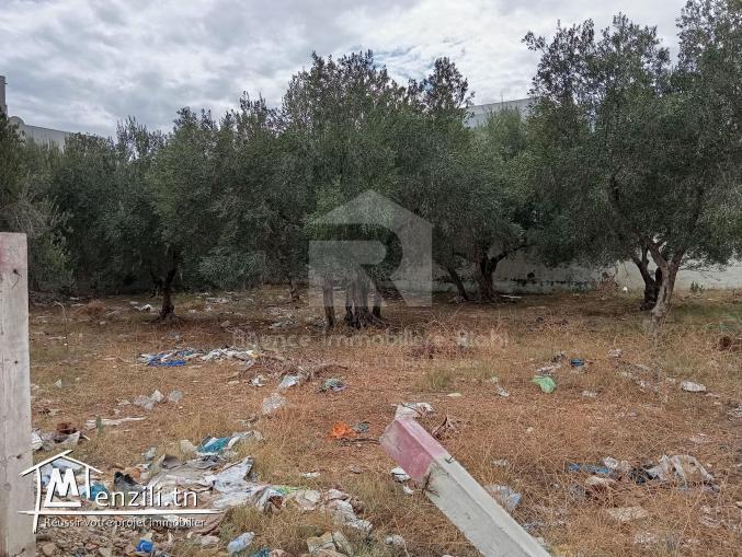 A vendre Terrain situé à khezama près l'instant café