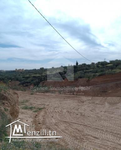 A vendre des terrains agricoles situé à Kalaa  Kbira