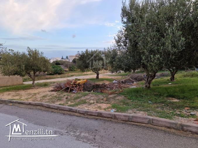 Terrain vue de mer de 1122 m² à vendre à Hammamet Nord 51355351