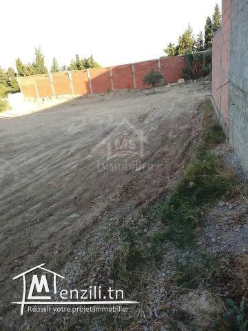 Terrain de 800 m² à vendre à Hammamet Sud 51355351