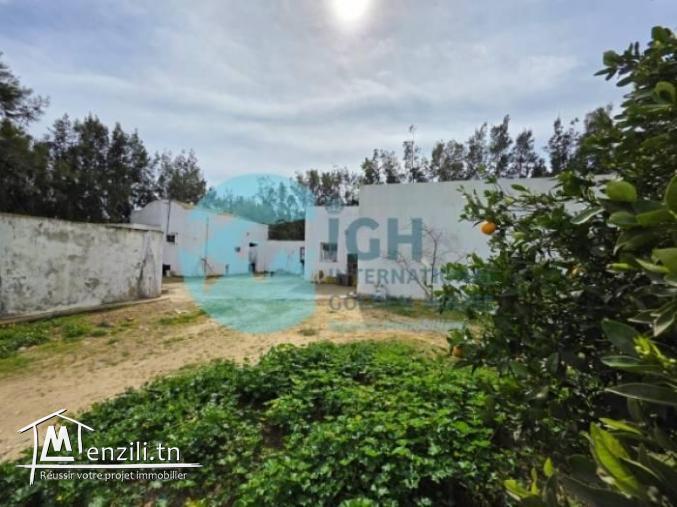 A Vendre Ferme Agricole à Bir Drassen Nabeul