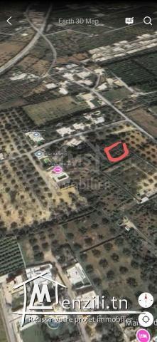 Terrain de 950 m² à vendre à Hammamet zone théâtre 51355351