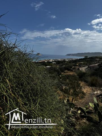 VENTE TERRAIN RAFRAF AIN MESTIR