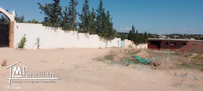 Terrain 316 m2 à 15 min de Hammamet Sud