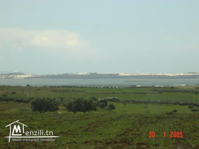 Vend Lots de terrain de 150, 200 ... 500m2 à partir de 18000 DT