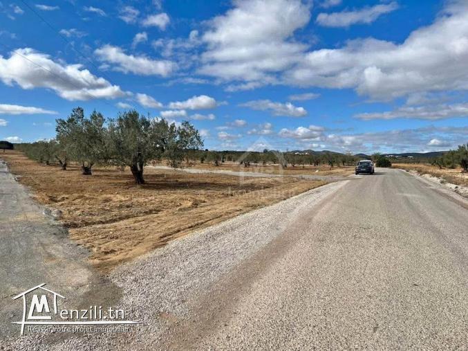 Terrain de 3789 m² à Hammamet Sud à vendre 51355351