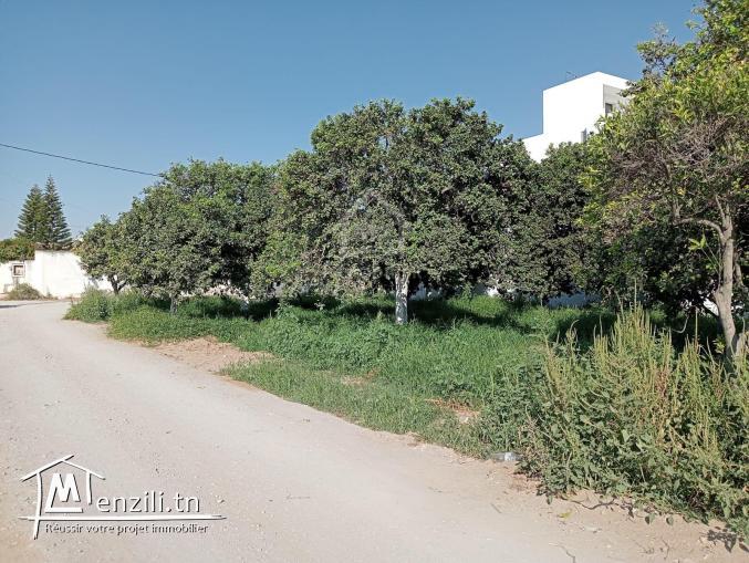 Un terrain de 423 m² dans la zone de Sidi Mahressi à vendre 51355351
