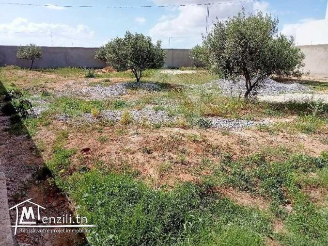 Terrain clôturé de 687 m² à vendre à Hammamet Sud 51355351