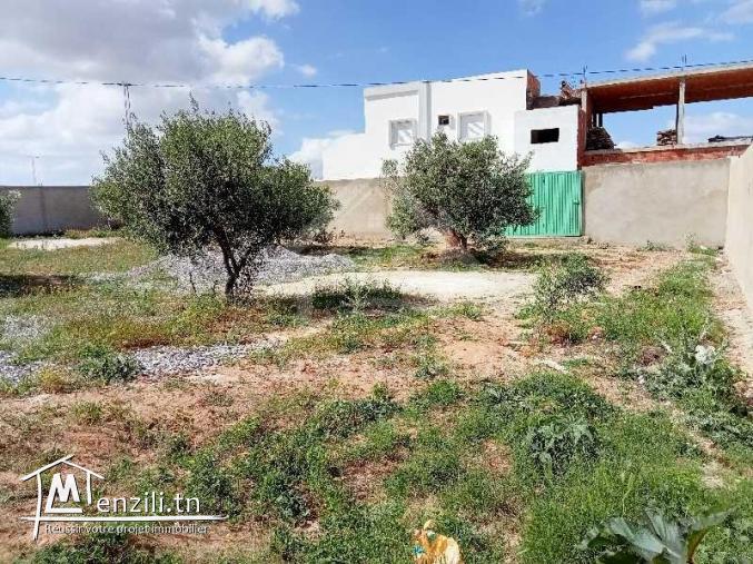 Terrain clôturé de 687 m² à vendre à Hammamet Sud 51355351