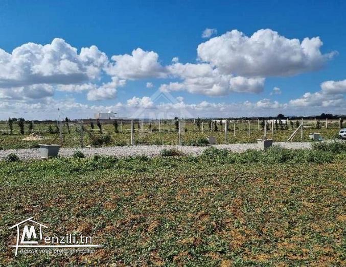 Terrain clôturé de 1000 m² à vendre à 110 MD à Hammamet Sud 51355351