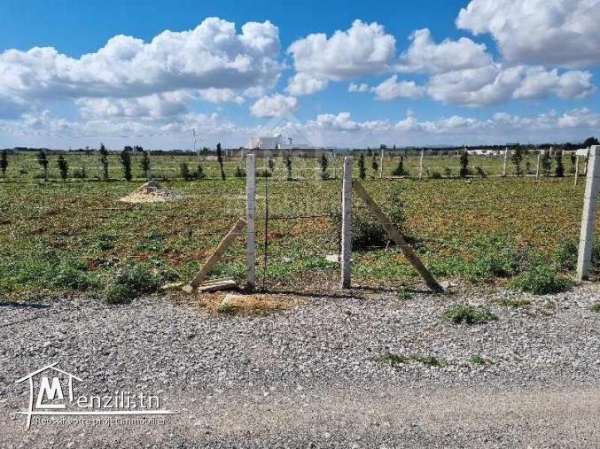 Terrain clôturé de 1000 m² à vendre à 110 MD à Hammamet Sud 51355351