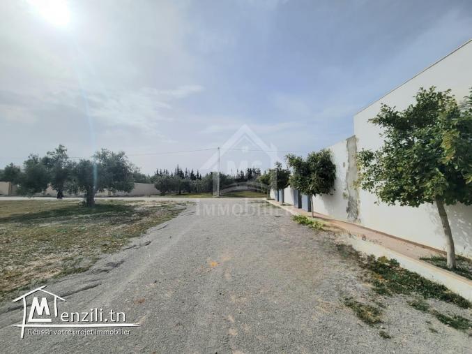 Terrain de 587 m² à vendre à 140 MD à Hammamet Sud 51355351