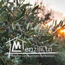 Une ferme de hectare et 5000m² à vendre située à kondar