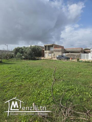 À Vendre : Terrain à Hammem Ghezèz – Proche de la Plage !