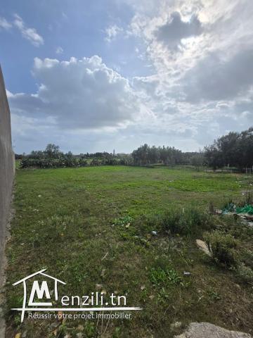 À Vendre : Terrain à Hammem Ghezèz – Proche de la Plage !