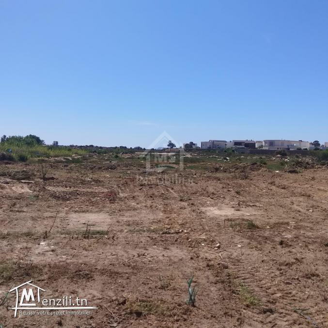 Un lot de terrain de 504 m² à vendre à Korba 51355351