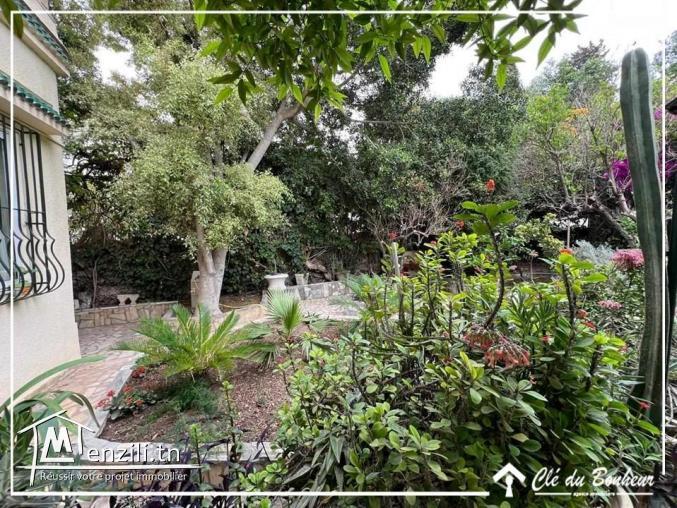 à vendre à france ville