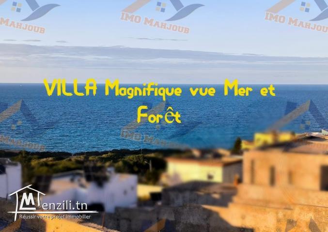 VILLA Magnifique vue Mer et Forêt
