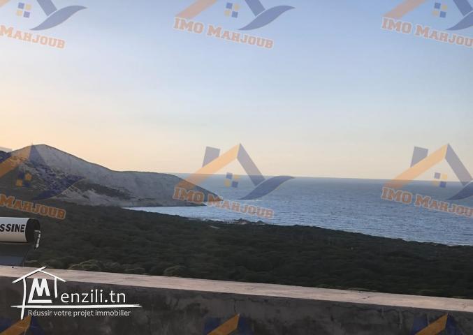 VILLA Magnifique vue Mer et Forêt