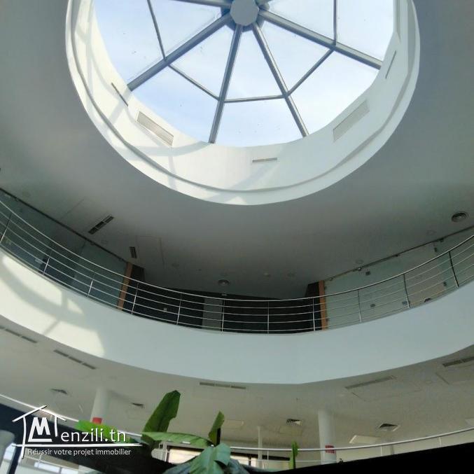 Super immeuble bureautique 4155 m² hs au lac 2