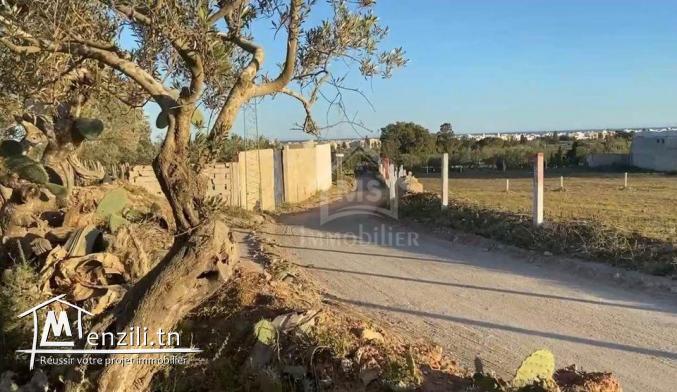 2 terrains vue de mer à vendre à Béni Khiar 51355351