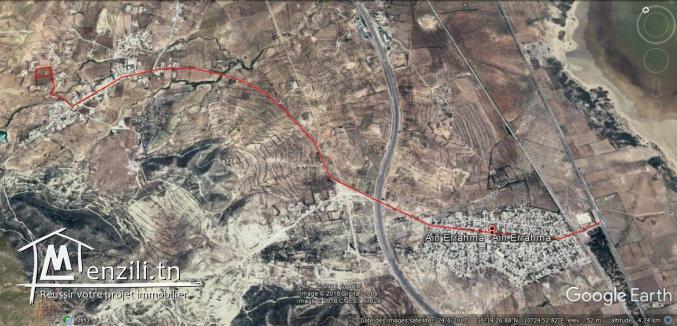 Vends Lots de terrain a Sidi Khlifa