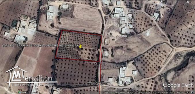 Vends Lots de terrain a Sidi Khlifa