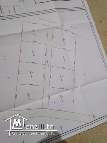 Vends Lots de terrain a Sidi Khlifa