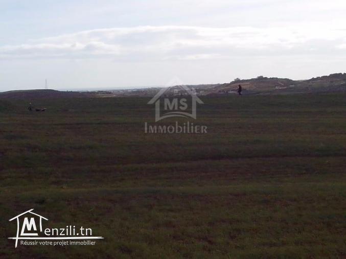 4 hectares ayant une vue de mer à vendre à Hammamet Sud 51355351