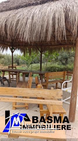 Un terrain agricole à vendre située à kalaa kbira en derrière mall sousse