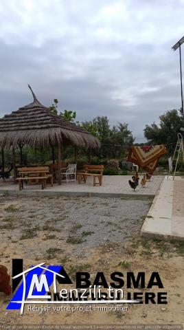 Un terrain agricole à vendre située à kalaa kbira en derrière mall sousse