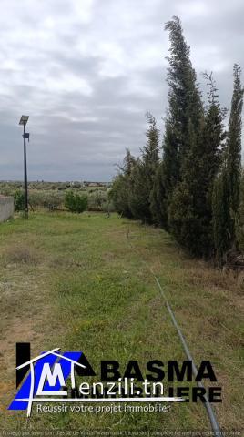 Un terrain agricole à vendre située à kalaa kbira en derrière mall sousse