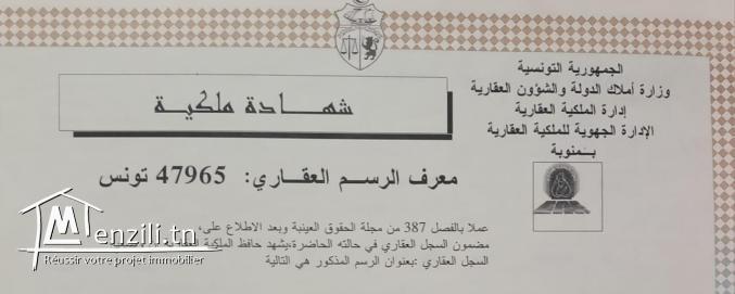 Lots de terrain à vendre à la Manouba vocation R+2