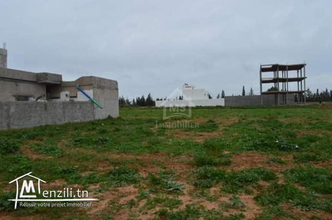 Terrain de 716 m² à vendre à Hammamet Sud 51355351