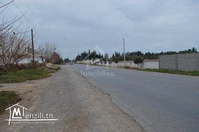 Terrain de 716 m² à vendre à Hammamet Sud 51355351