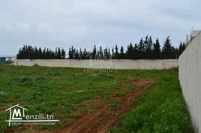 Terrain de 716 m² à vendre à Hammamet Sud 51355351